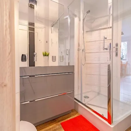 Lisowski Centrum Zborowskiego 公寓 *